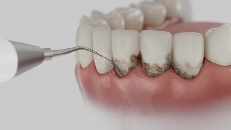 Reliable Dental contractor in Franklinton, NC by Dentist Open Now